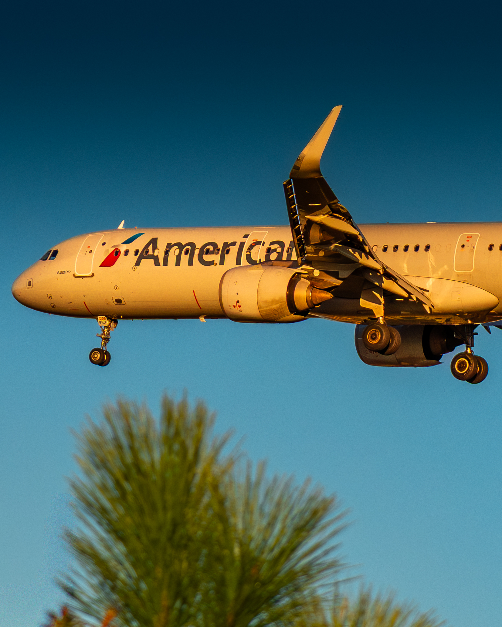 American Airlines Airbus A321 on landing approach over palm tree